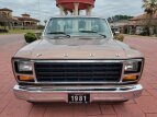Thumbnail Photo 12 for 1981 Ford F100